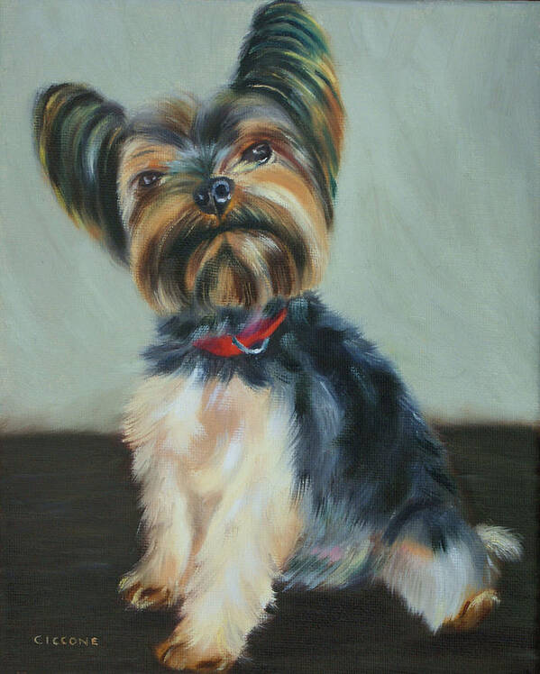 Yorkie Poster featuring the painting Yurman by Jill Ciccone Pike