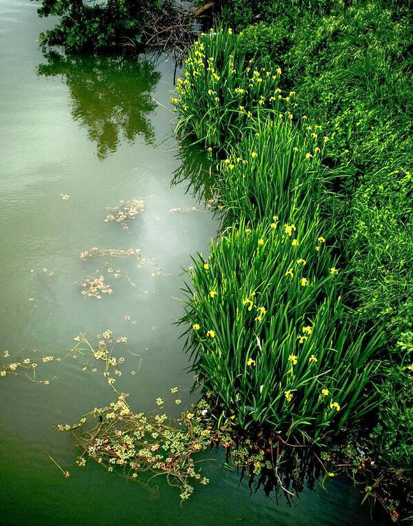 Water Poster featuring the photograph Canal by Jim Painter