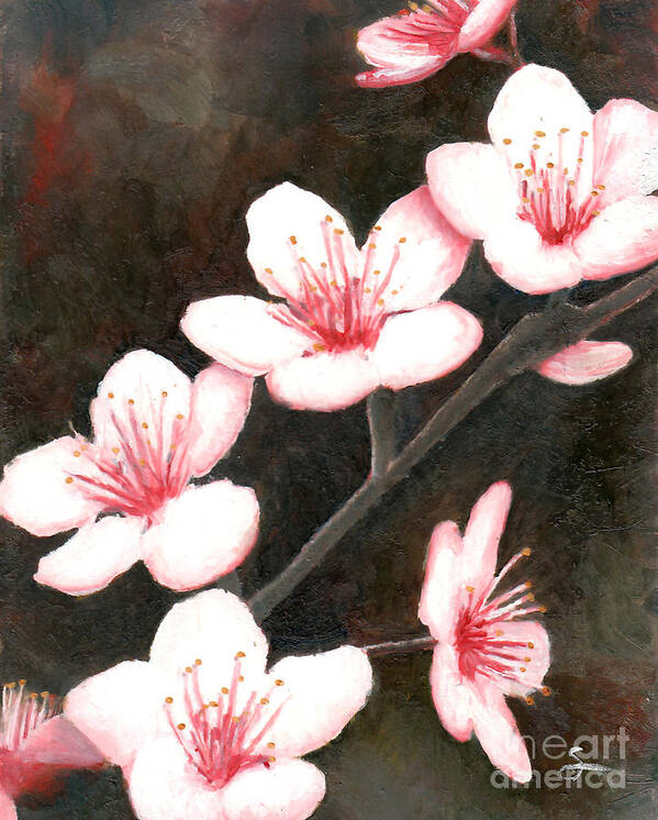 Flower Poster featuring the painting Cherry Blossom by Scott Alberts