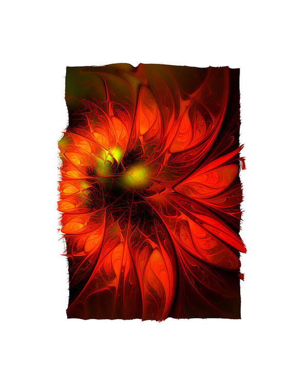 Digital Art Poster featuring the digital art Flame Lily Framed by Amanda Moore