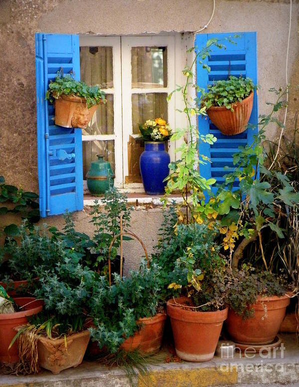 Window Poster featuring the photograph Flower Pots Galore by Lainie Wrightson