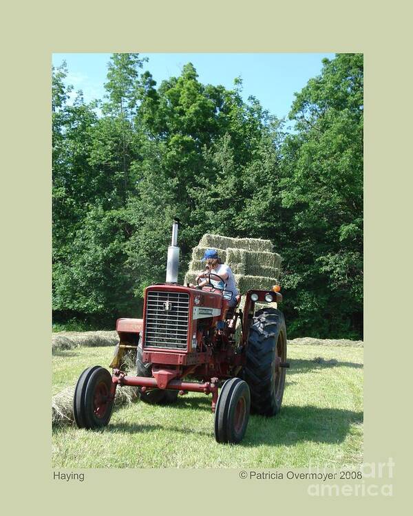 Farm Poster featuring the photograph Haying by Patricia Overmoyer