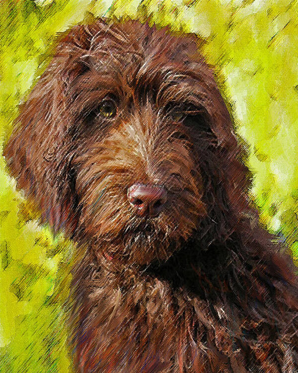 Labradoodle Poster featuring the digital art Labradoodle by Jane Schnetlage