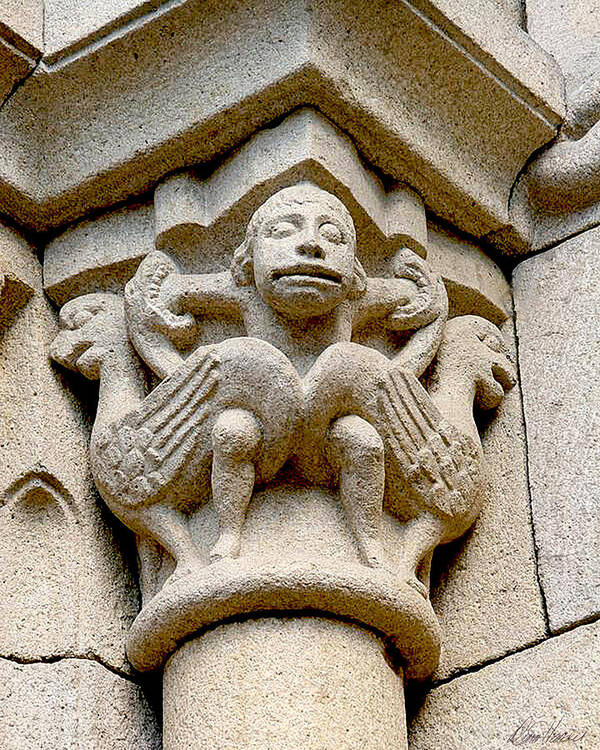 Gargoyle Poster featuring the photograph Monkey Man With Birds by Diana Haronis