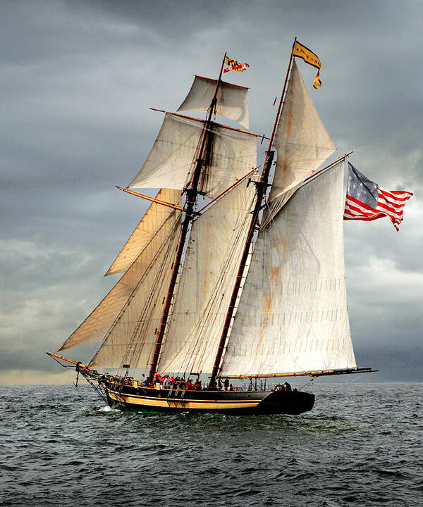 Tall Ship Poster featuring the photograph Pride of Baltimore II by Fred LeBlanc