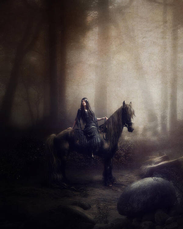 Digital Art Poster featuring the photograph The night rider by Cindy Grundsten