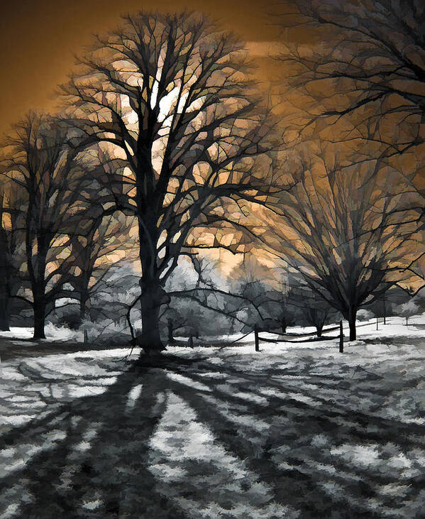 Infrared Poster featuring the photograph Tree Shadow by Steve Zimic