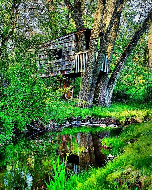 Treehouse Poster featuring the photograph Treehouse by the water by Nick Zelinsky Jr