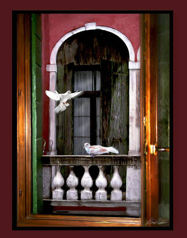Venice Poster featuring the photograph Venice Window by Diana Haronis