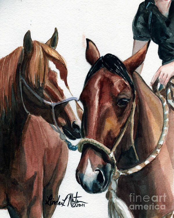 Wild Horse Poster featuring the painting Overlapping by Linda L Martin
