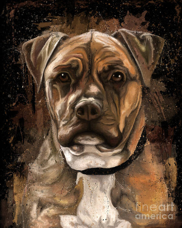 Amstaff Terrier Poster featuring the painting Dog portrait painting, American staffordshire terrier by Nadia CHEVREL