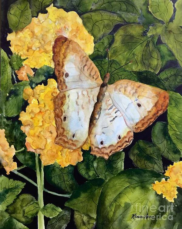 Butterfly Poster featuring the painting Hushed Wings by Karen Ann