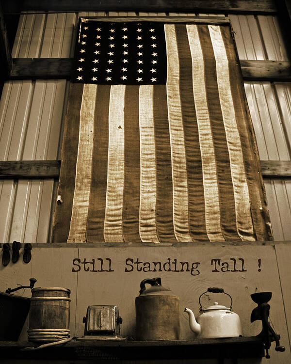 United States Poster featuring the photograph Still Standing Tall #1 by Joanne Coyle