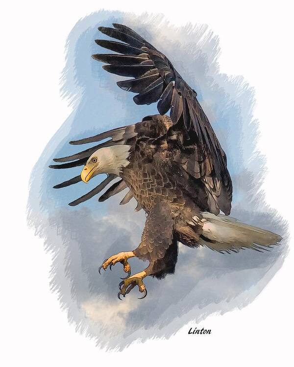 American Bald Eagle Poster featuring the digital art American Bald Eagle #2 by Larry Linton