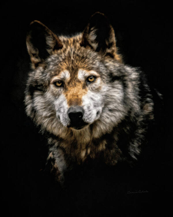 Wolf Poster featuring the digital art The Wolf #3 by Ernest Echols