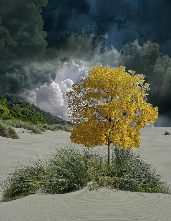 Sand Poster featuring the photograph 4422 by Peter Holme III