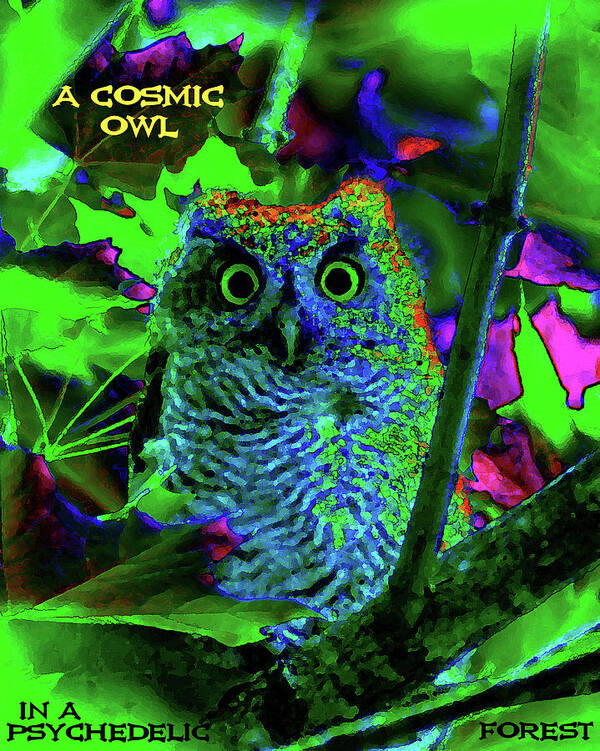 Owl Poster featuring the photograph A Cosmic Owl in a Psychedelic Forest by Ben Upham III