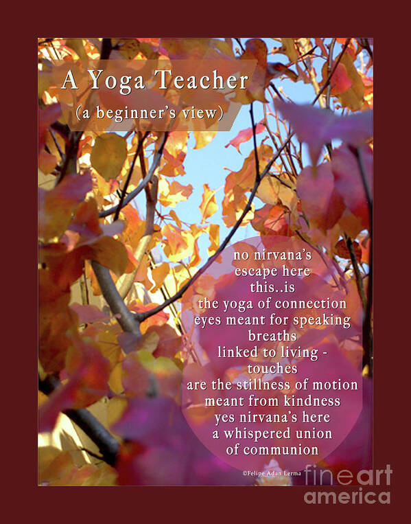 Yoga Teacher Poster featuring the photograph A Yoga Teacher by Felipe Adan Lerma