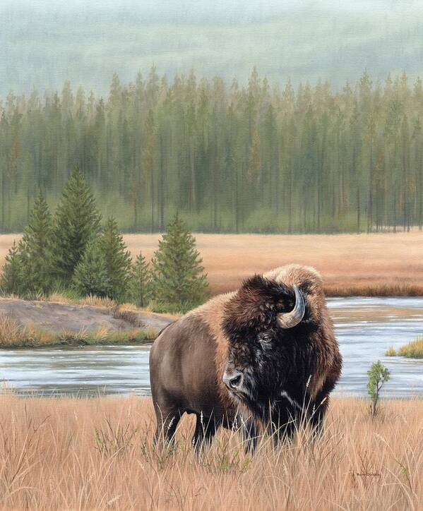 Bison Painting Poster featuring the painting American Bison Oil Painting by Rachel Stribbling