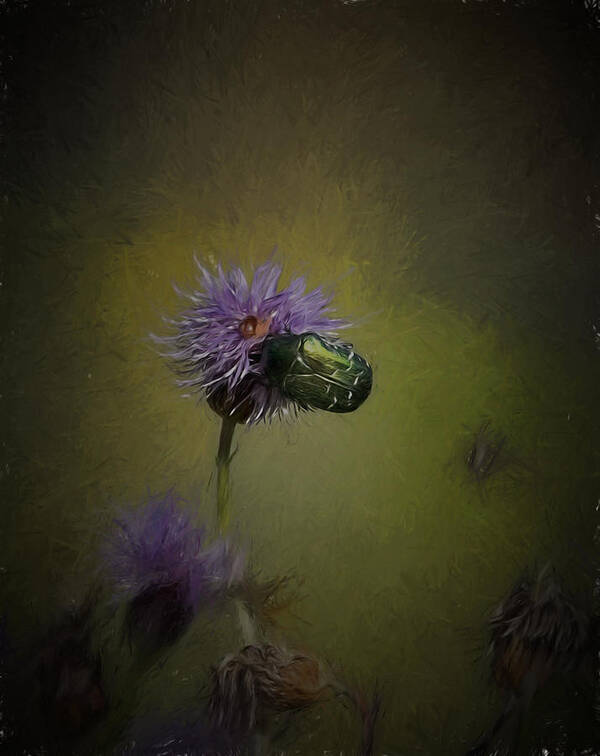 Mood Poster featuring the photograph Artistic Two beetles on a thistle flower by Leif Sohlman