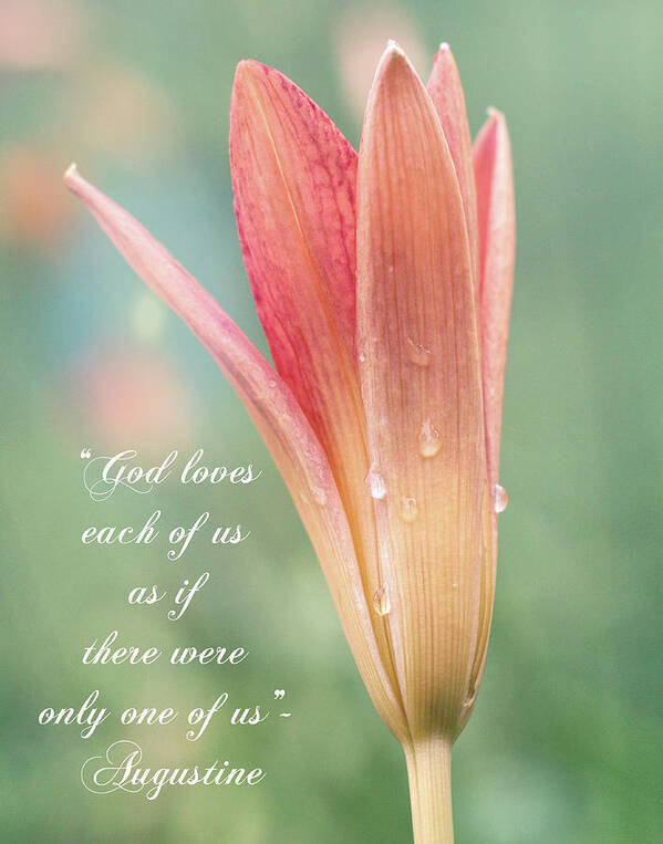 Augustine Poster featuring the photograph Augustine quote God loves each of us with opening Lily by Denise Beverly