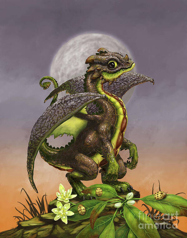 Avocado Poster featuring the digital art Avocado Dragon by Stanley Morrison