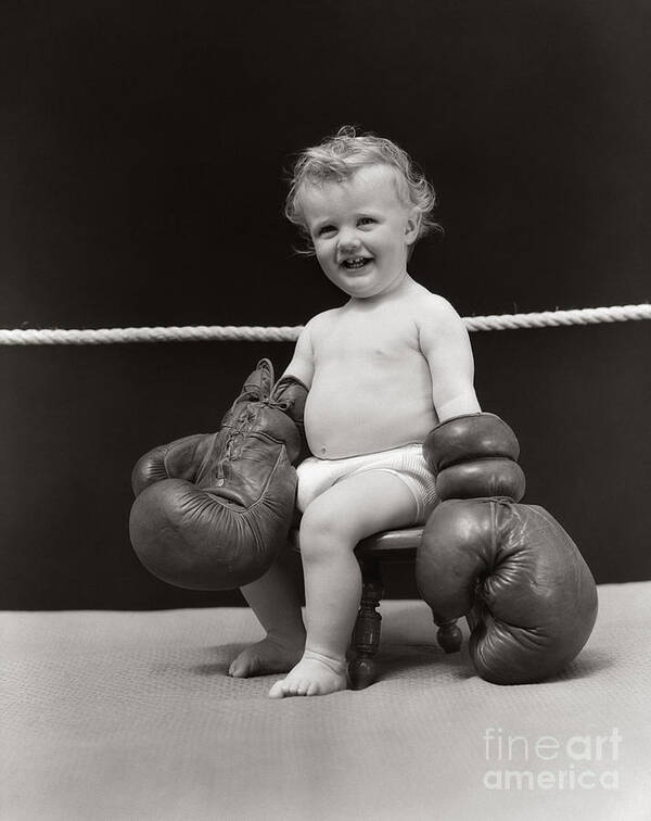 1930s Poster featuring the photograph Baby In Boxing Gloves, C. 1930s by H. Armstrong Roberts/ClassicStock