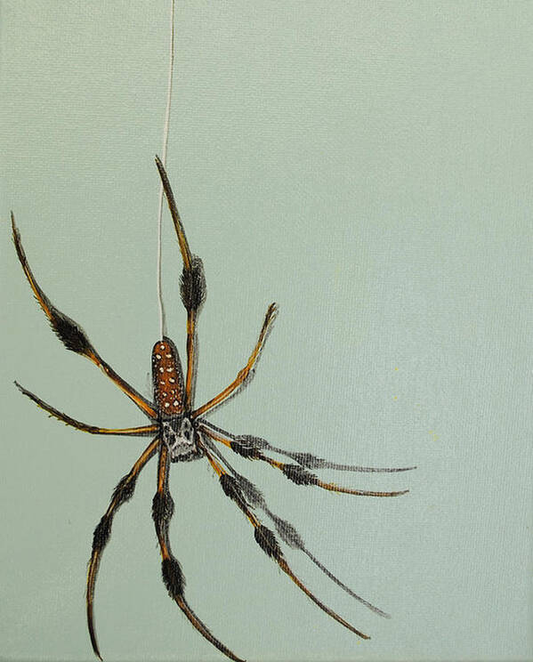 Spider Poster featuring the painting Banana Spider by Jude Labuszewski