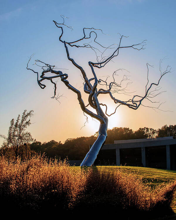 Tree Sunrise Poster featuring the photograph Barren Light - Crystal Bridges Museum of American Art by Gregory Ballos