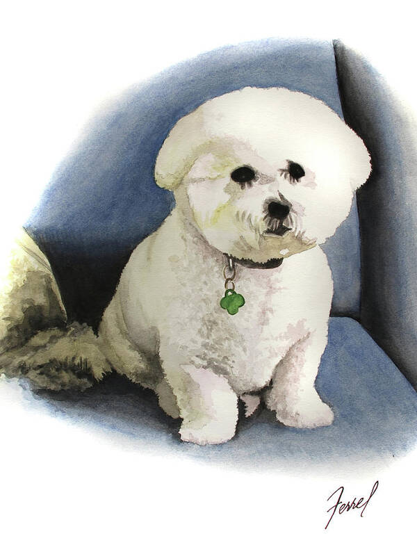 Bichon Poster featuring the painting Bichon Sonny by Ferrel Cordle