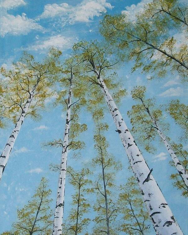 Original Birch Trees Acrylic Poster featuring the painting Birch Trees and Sky by Georgeta Blanaru