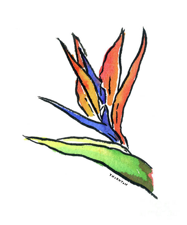 Bird Of Paradise Poster featuring the painting Bird of Paradise by Diane Thornton