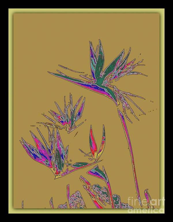 Floral Poster featuring the photograph Bird of Paradise by Jodie Marie Anne Richardson Traugott     aka jm-ART