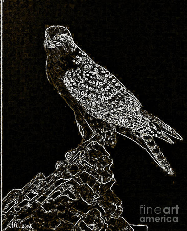 Drawing Poster featuring the digital art Bird of Prey White on Black by Humphrey Isselt