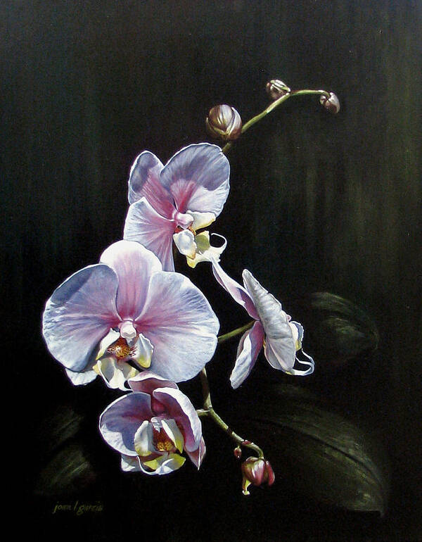 Orchid Poster featuring the painting Blushing by Joan Garcia