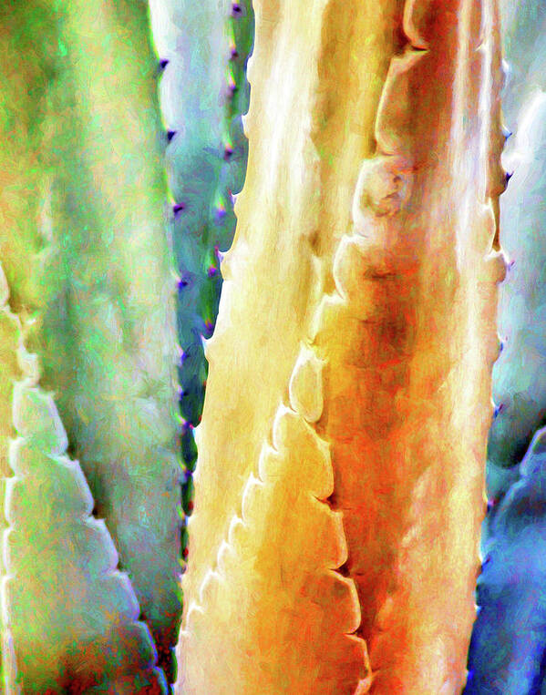Cactus Poster featuring the digital art Cactus Detail #1 by Casey Heisler
