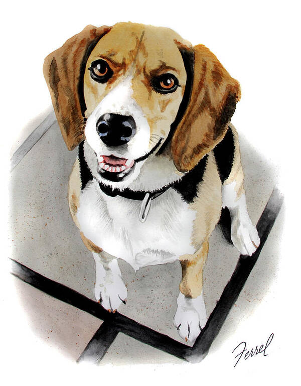Dog Poster featuring the painting Canine Cutie by Ferrel Cordle