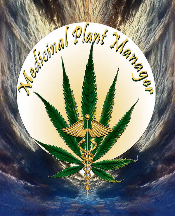 Cannabis Poster featuring the photograph Cannabis Medicinal Plant by Michele Avanti