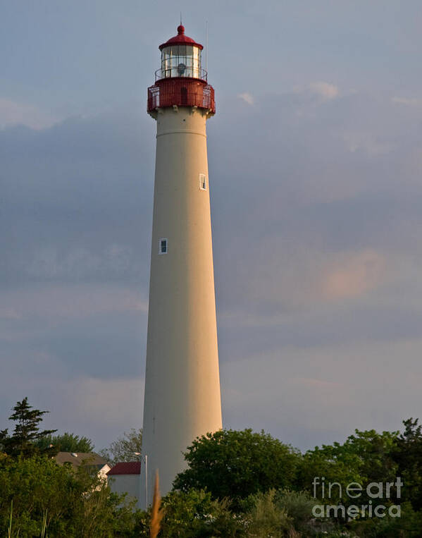 Lighthouse Poster featuring the photograph Cape May Lighthouse by Robert Pilkington