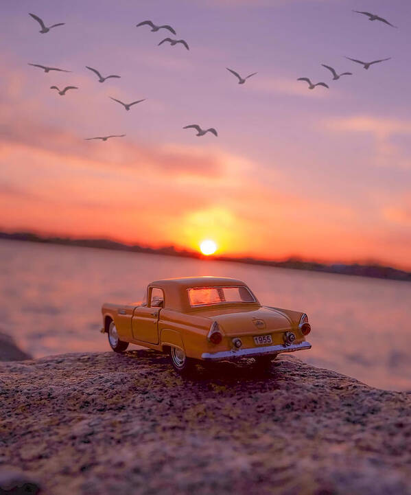 Nature Poster featuring the photograph Car on sunset by Xhen Xhen