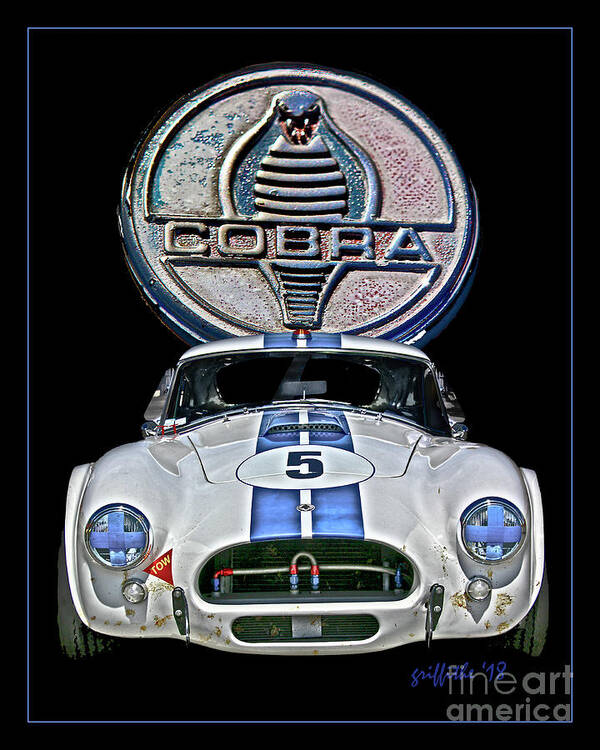 Cobra Poster featuring the photograph Cobra No. 5 by Tom Griffithe