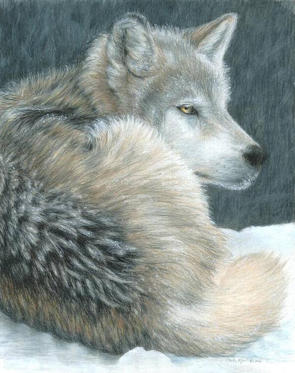 Wolf Poster featuring the painting Cold Evening by Carla Kurt