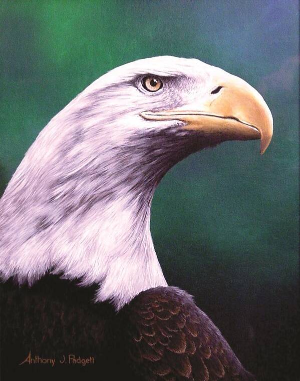 Eagle Poster featuring the painting Courage by Anthony J Padgett