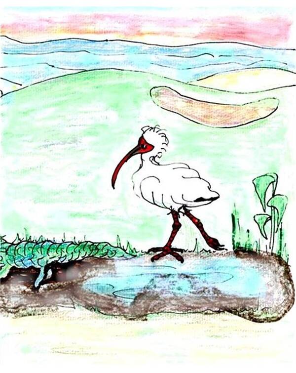 Ibis Poster featuring the drawing Curious ibis stands by by Carol Allen Anfinsen