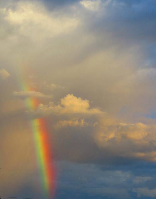 Places Poster featuring the photograph Desert Rainbow by Judy Kennedy