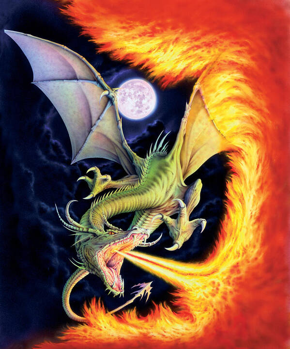 Dragon Poster featuring the photograph Dragon Fire by MGL Meiklejohn Graphics Licensing