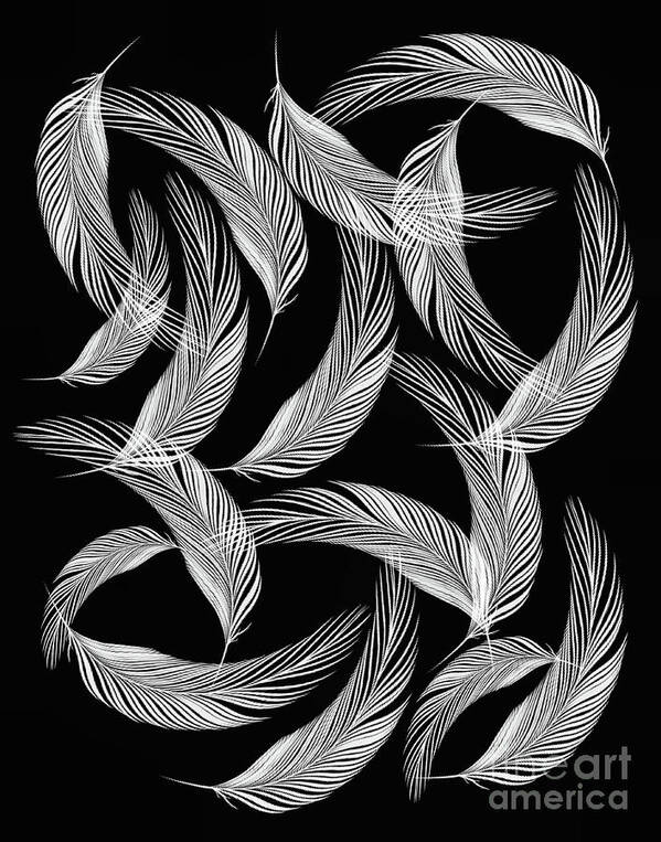Feathers Poster featuring the digital art Falling White Feathers by Smilin Eyes Treasures