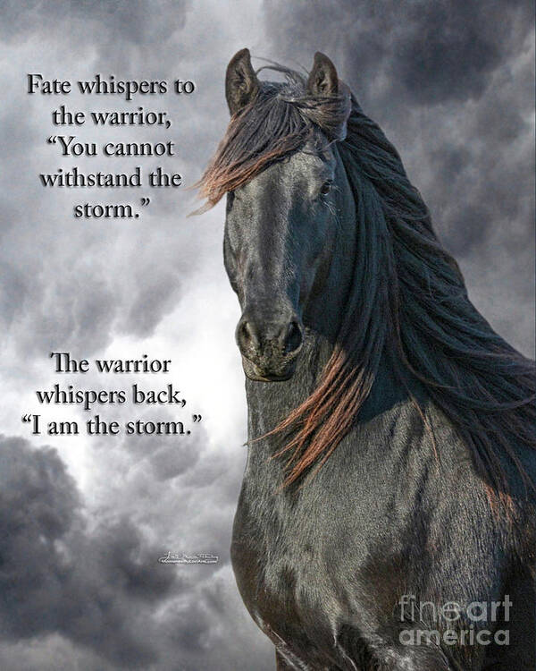 Friesian Poster featuring the photograph Fate Whispers by Lori Ann Thwing