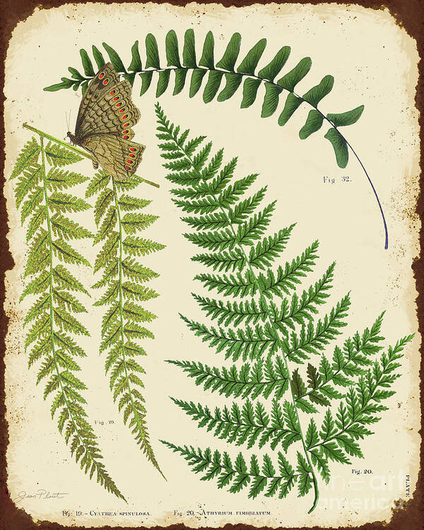 Fern Poster featuring the digital art Ferns on Tin-A-JP2005 by Jean Plout