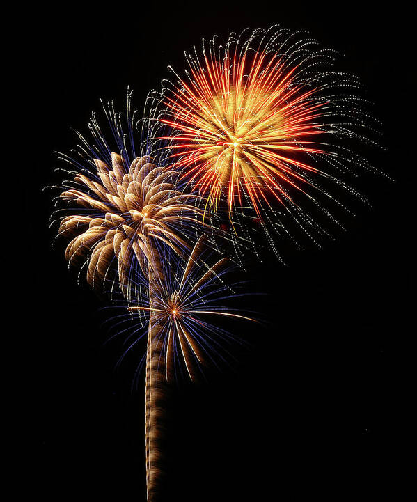 Fireworks Poster featuring the photograph Firework Eyecandy by Elaine Malott